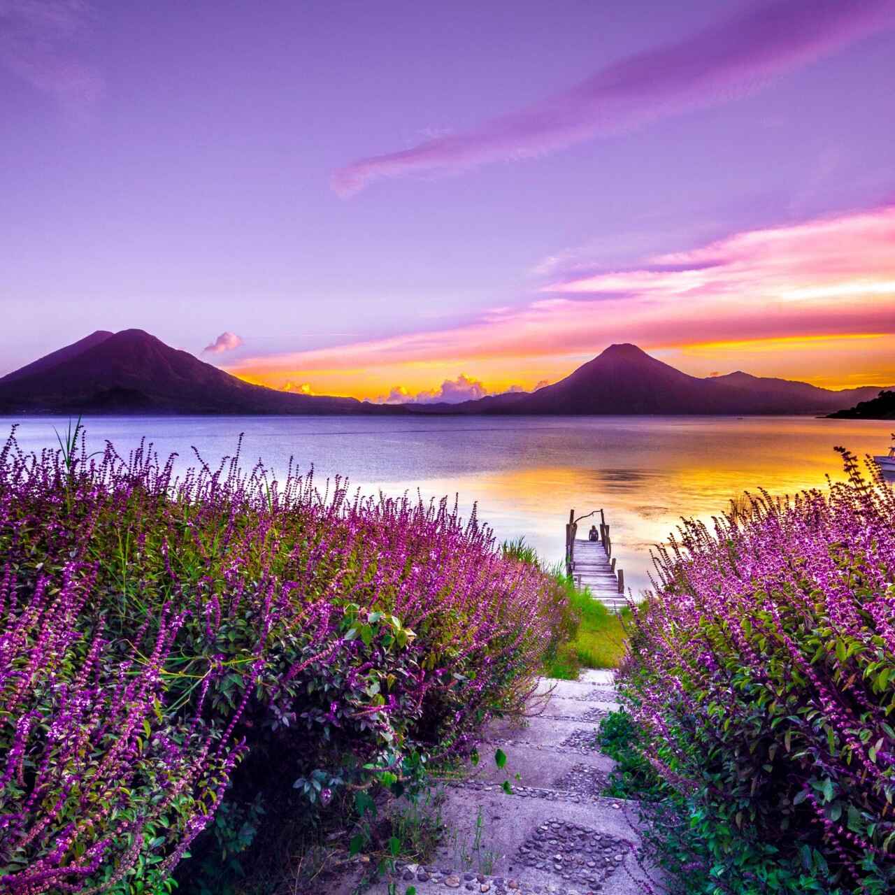 A calm scene with a lake and mountains in the distance, the sun is setting and there's a field of purple flowers